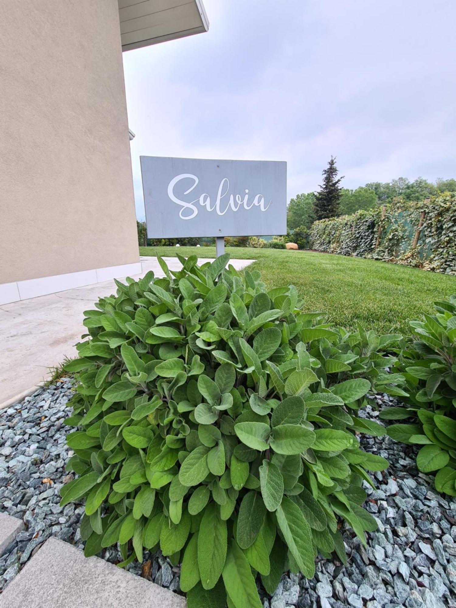 Residence Le Aromatiche Cavaion Veronese Rom bilde